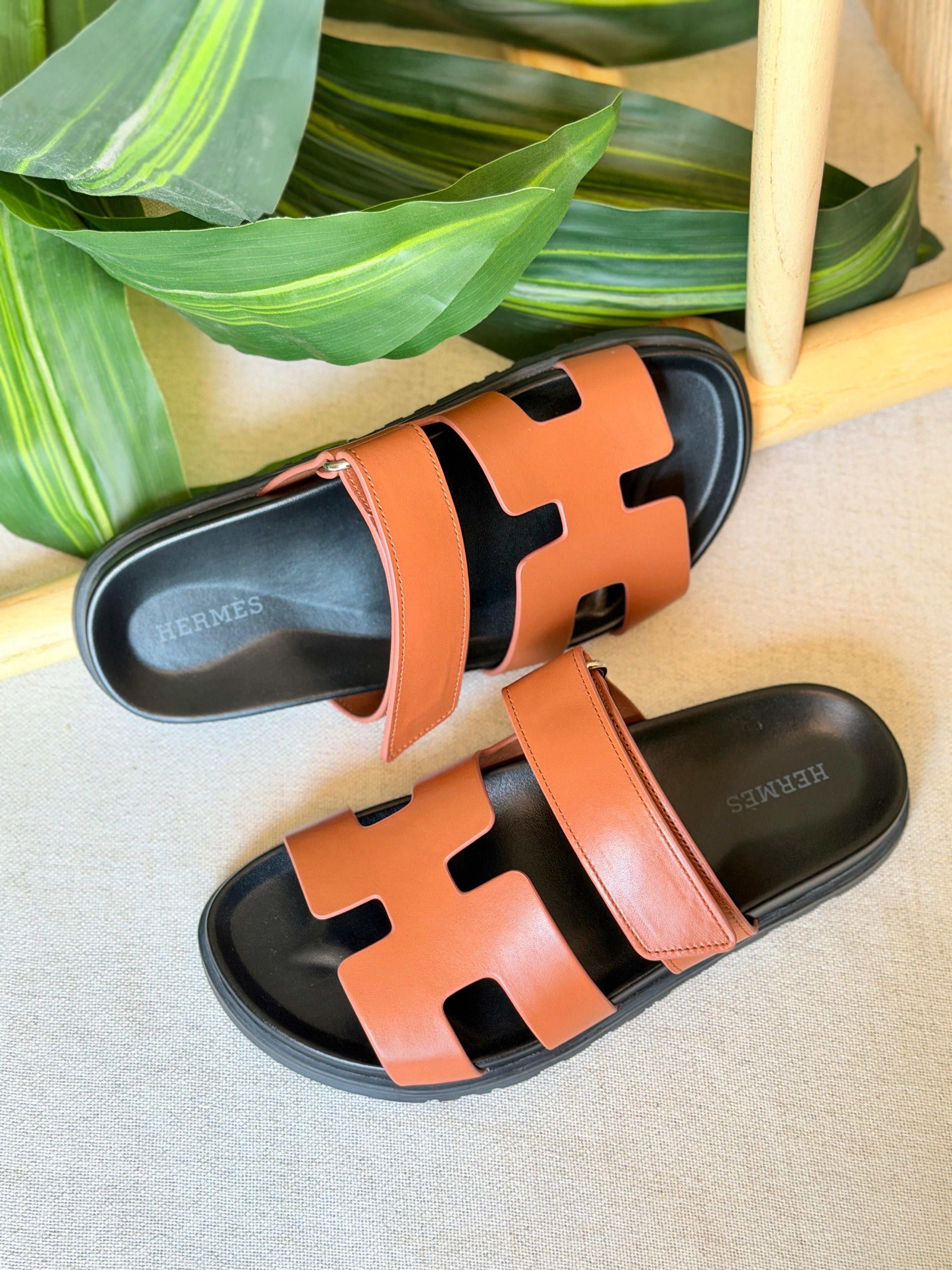 HERMES