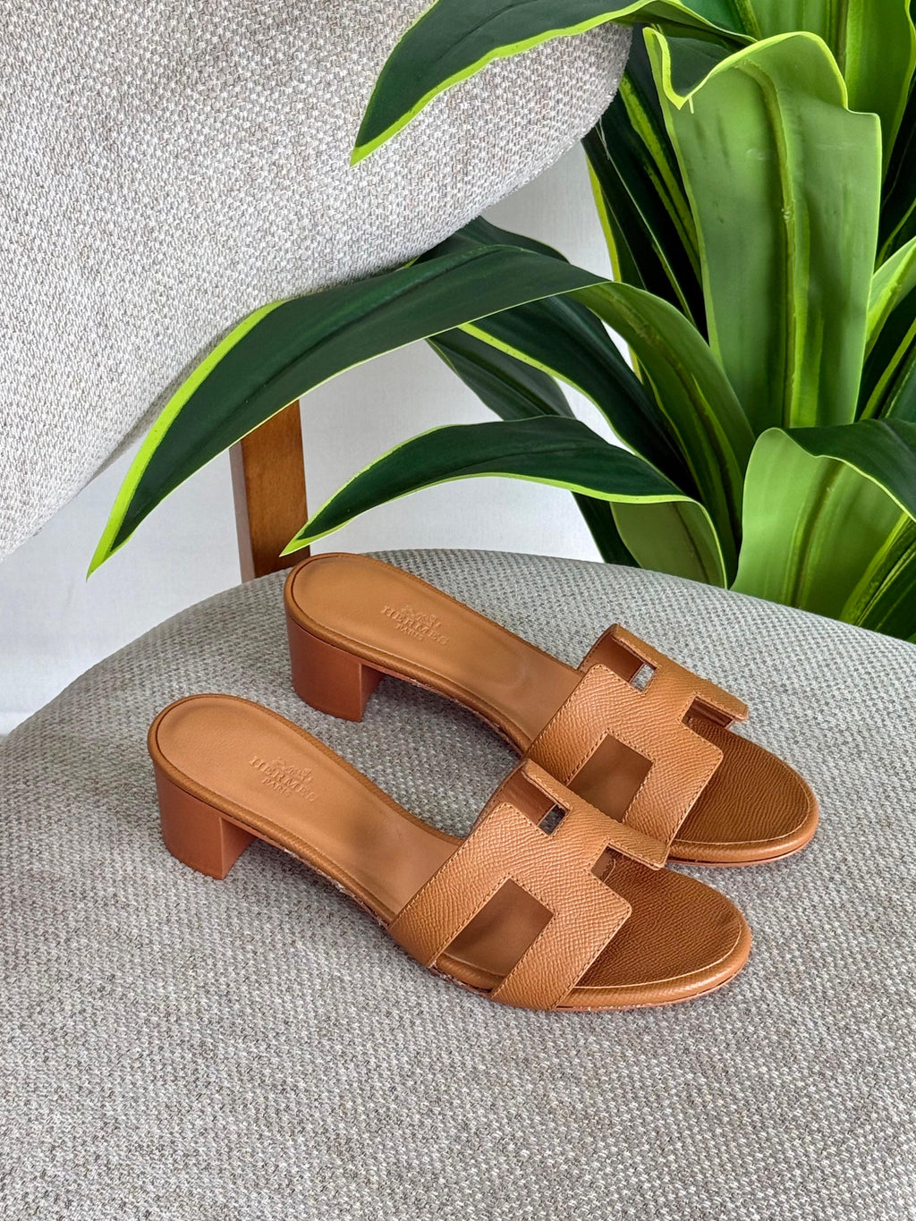 HERMES