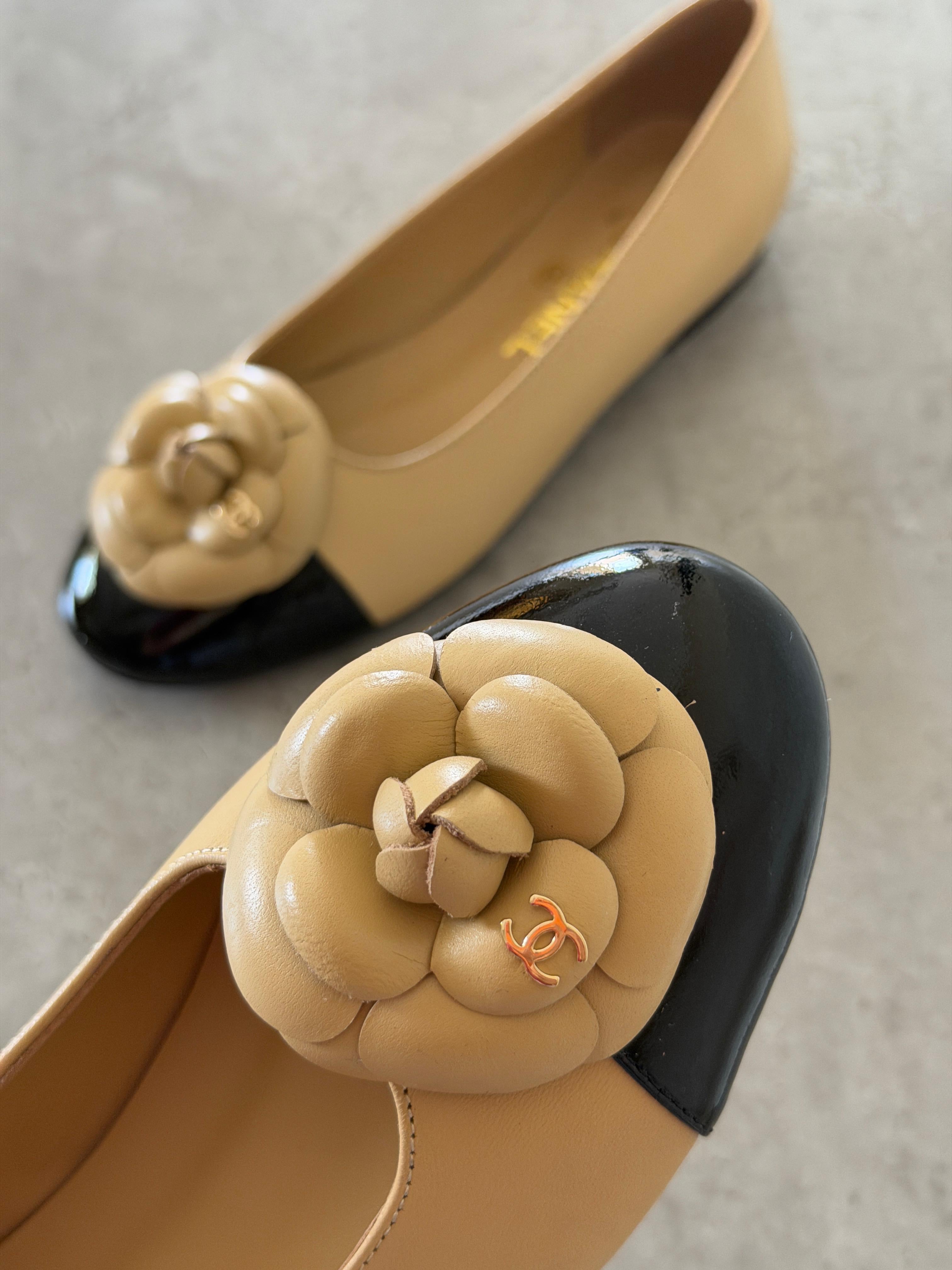 CHANEL