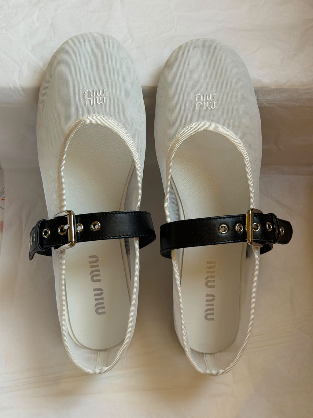 Miumiu