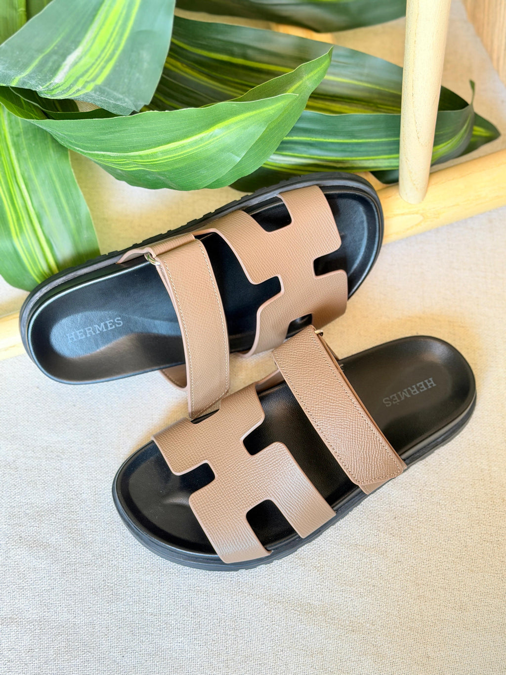 HERMES