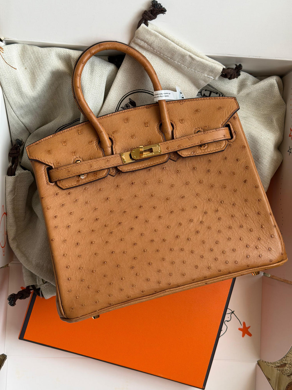 HERMES